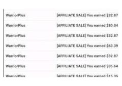 If you want to make real money online, the fastest way is through a High Ticket business model