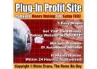 Unlock Financial Freedom: $300 Daily with Just 2 Hours