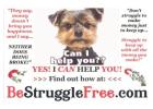 Discover the secret to a 2-hour workday and a $900 daily income. No experience? No problem!