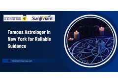 Famous Astrologer in New York for Reliable Guidance