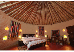 Sariska Safari Accommodation with Pool and Views